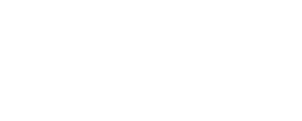 Klempner Niesmann Logo